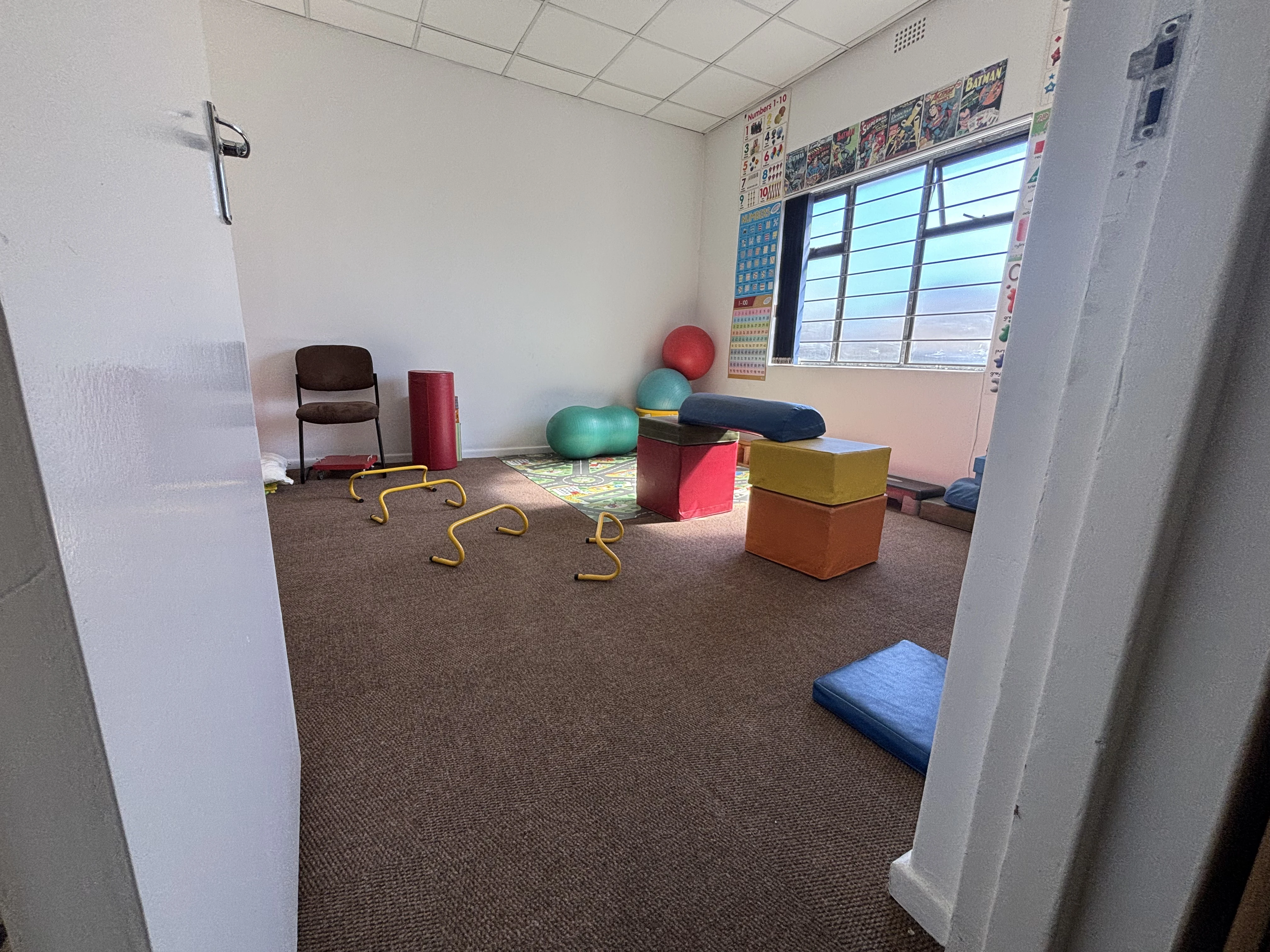 Paediatric Neurodevelopmental Therapy